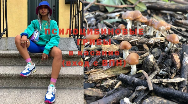 хмурый Кулебаки