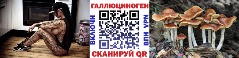 Псилоцибиновые грибы прущие грибы  продажа наркотиков  KRAKEN зеркало  Навашино 